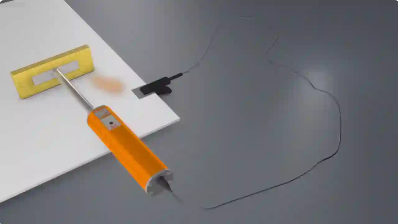 Holiday Detectors: A Detailed Guide